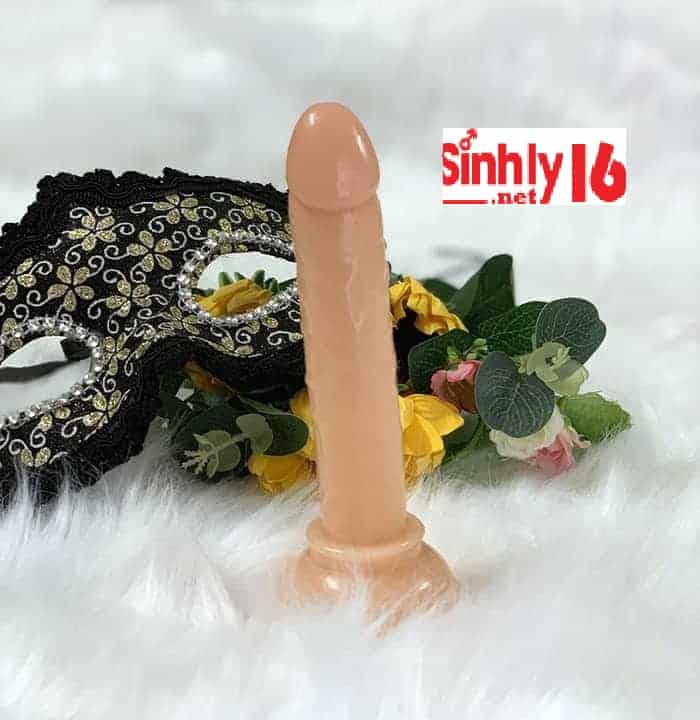 duong vat ga dvsinhly16
