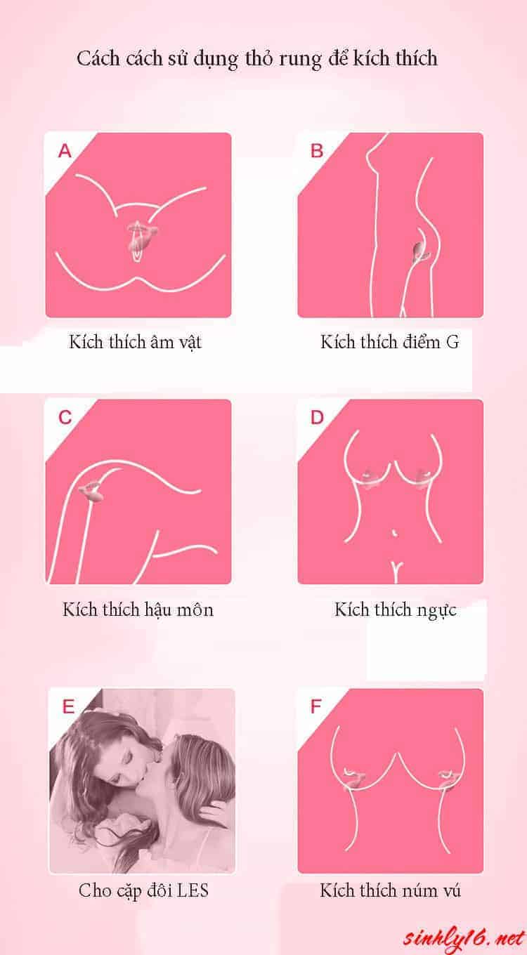 Hướng dẫn sử dụng máy rung điểm G TR12