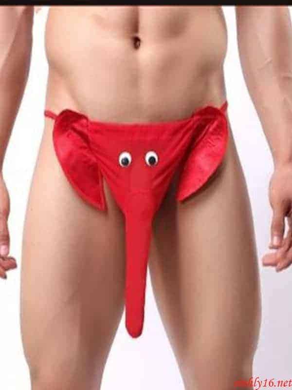 Quần lót nam vòi voi độc đáo