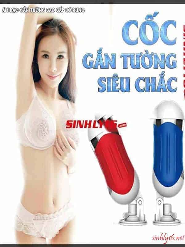 Âm đạo giả gắn tường cao cấp Easylove