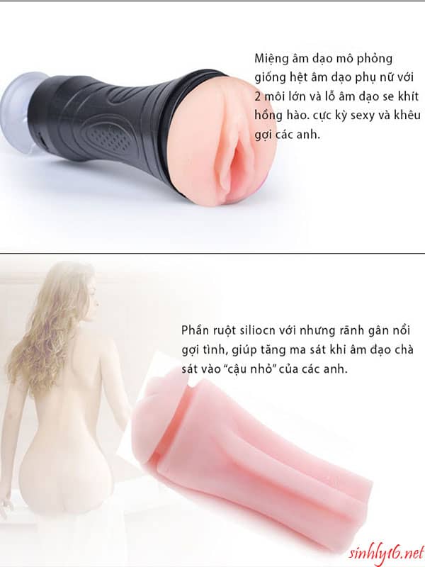 Âm đạo giả gắn tường có rung Âm đạo giả gắn tường có rung