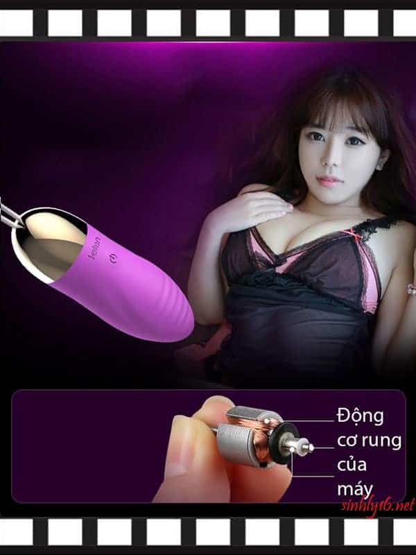 Động cơ rung của máy Leten Surge