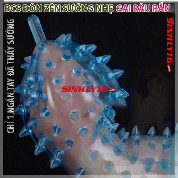 BAO CAO SU ĐÔN DÊN SƯỚNG NHẸ GAI RÂU RẮN – DON4