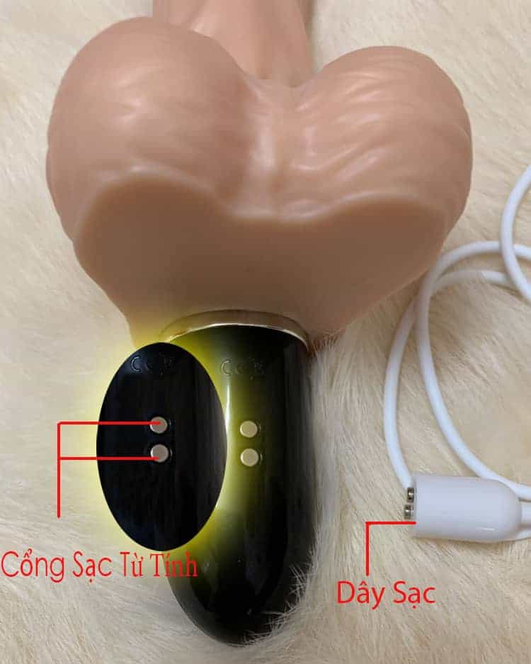 duong-vat-silicon-rung-cam-ung 3 duong-vat-silicon-rung-cam-ung 3