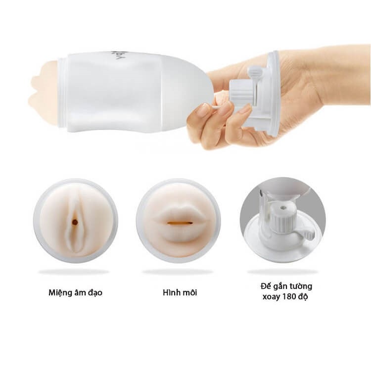 Âm đạo gắn tường 